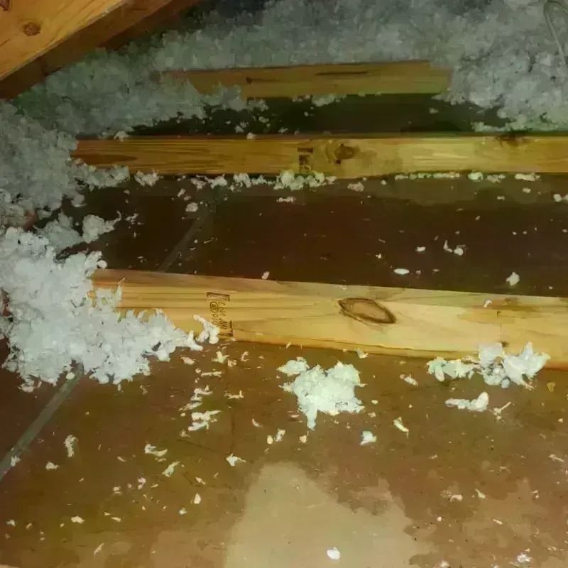 Attic Water Damage in Marks, MS