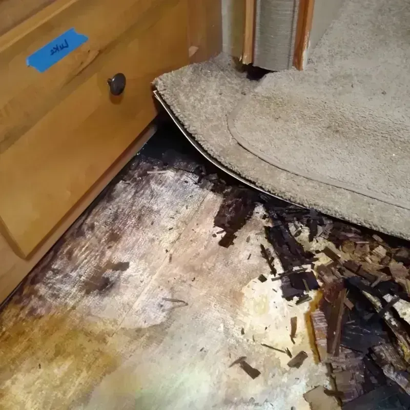 Wood Floor Water Damage in Marks, MS